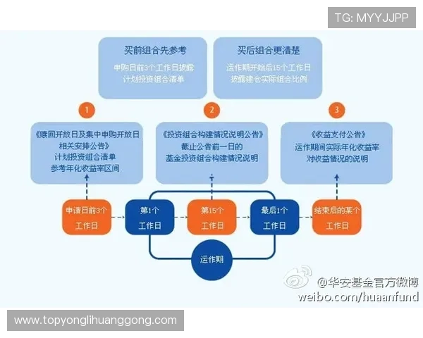 了解65335永利手机网址的最新动态与优惠活动，第一时间掌握官方最新资讯