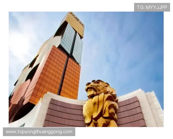 澳门美高梅贵宾厅尊享奢华体验，开启尊贵非凡的尊荣之旅